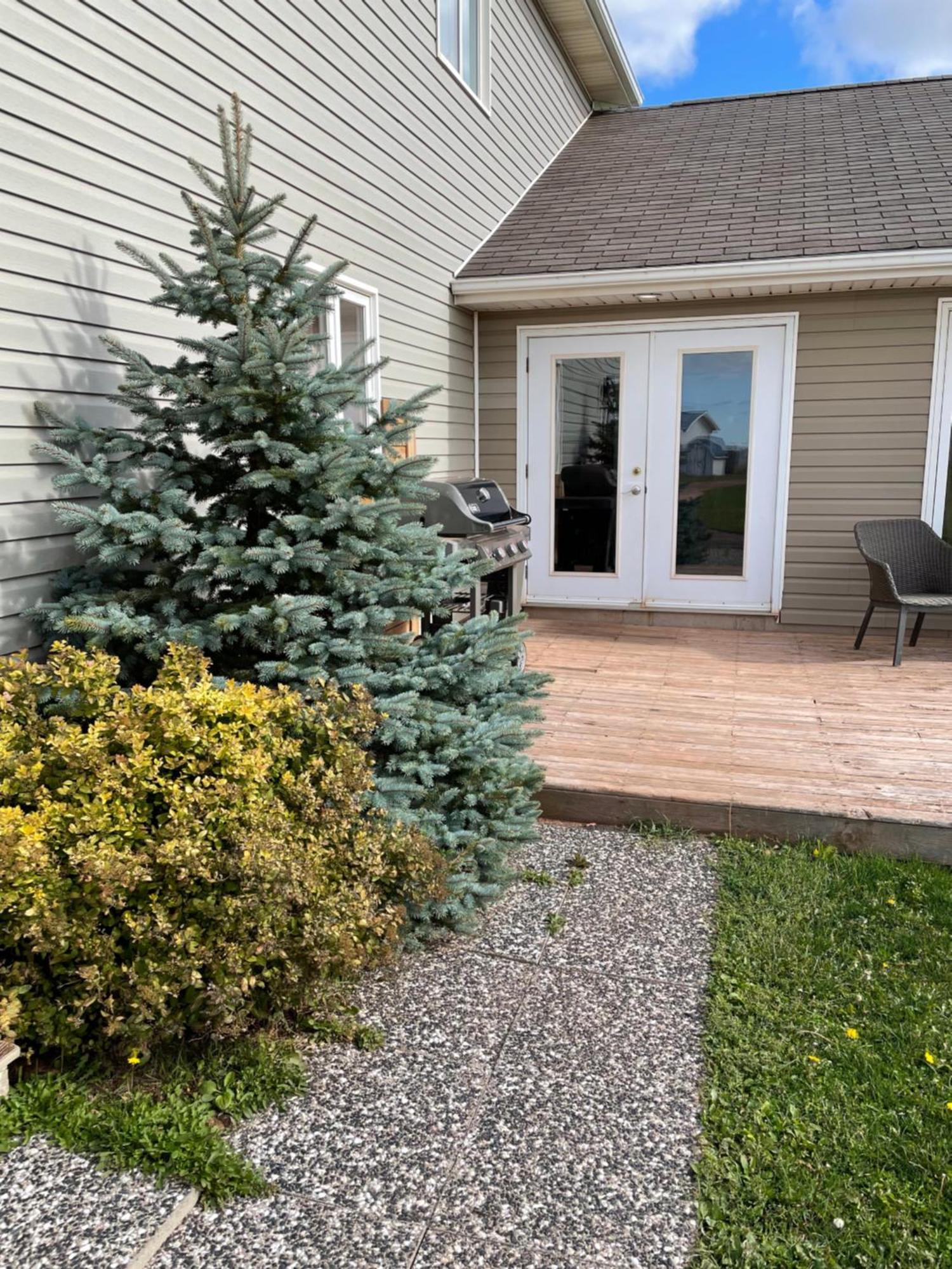 Pei Cottage Rental Borden-Carleton المظهر الخارجي الصورة